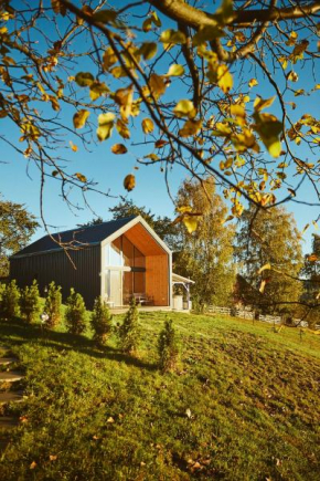 Scandinave Chalet Bran